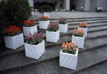 The flowerpots